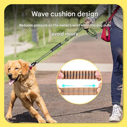 Shock Absorbing Dog Leash