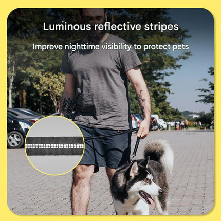 Shock Absorbing Dog Leash