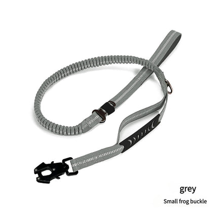 Shock Absorbing Dog Leash