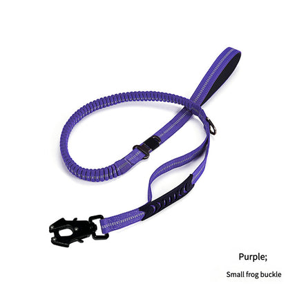 Shock Absorbing Dog Leash