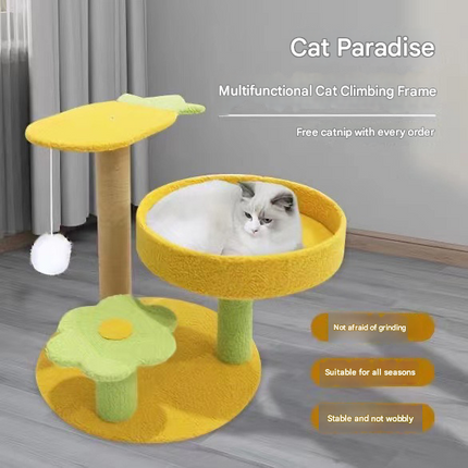 Cactus Pineapple Cat Tree