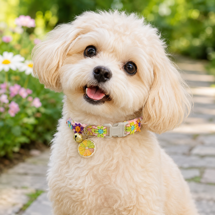 Floral Lace Pet Collar with Bell