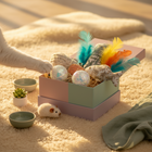 Curious Cat Box — Monthly Subscription